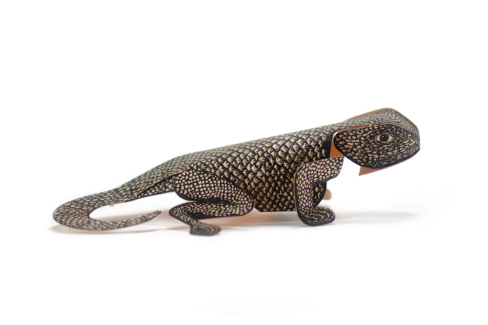 A paper sculpture of a lizard, assembled from a kit printed from a hand carved block.