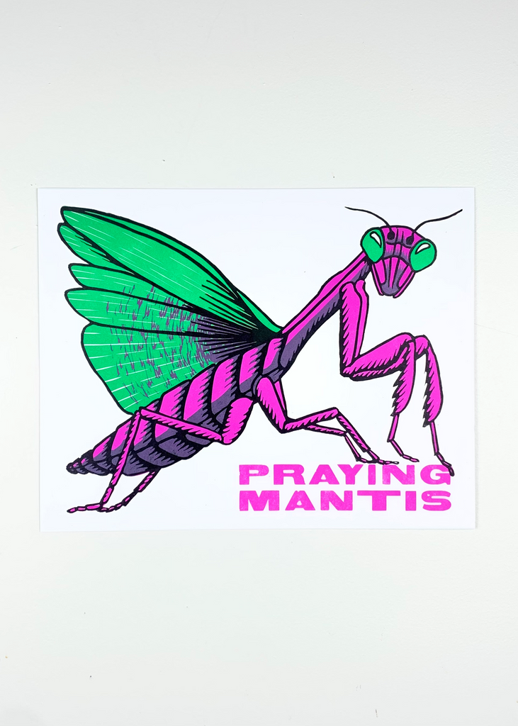 Praying Mantis Print