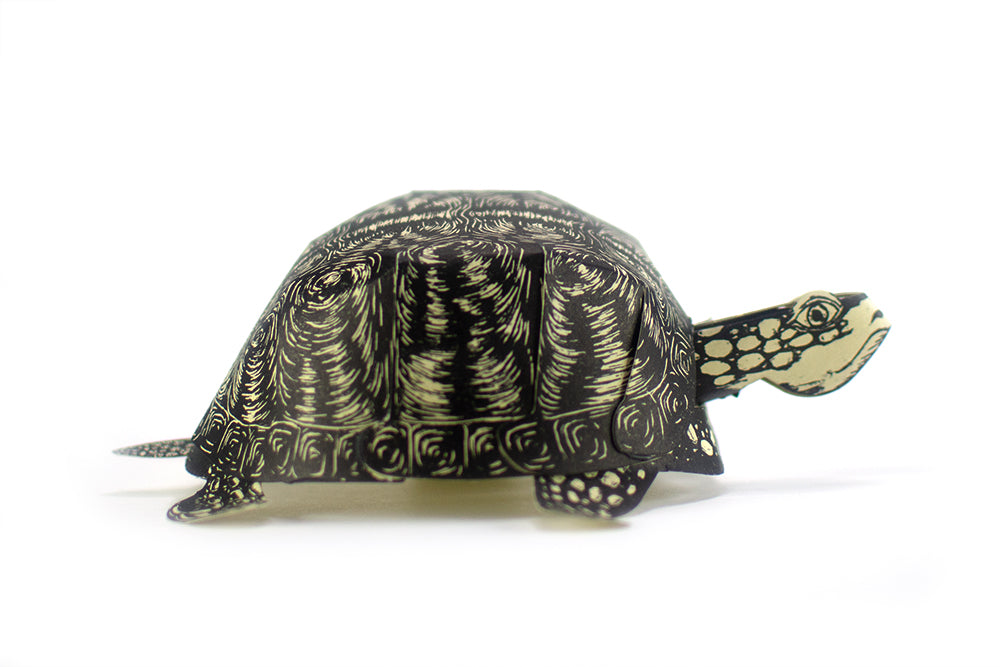 A paper sculpture of a turtle, assembled from a kit printed from a hand carved block.