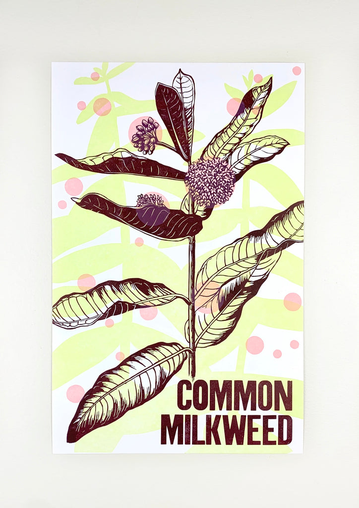 Common Milkweed Print