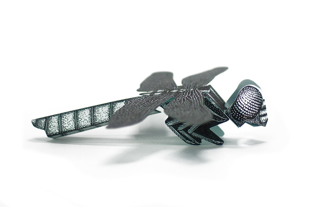 A paper sculpture of a dragonfly, assembled from a kit printed from a hand carved block.