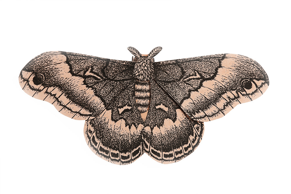 A paper sculpture of a moth, assembled from a kit printed from a hand carved block.