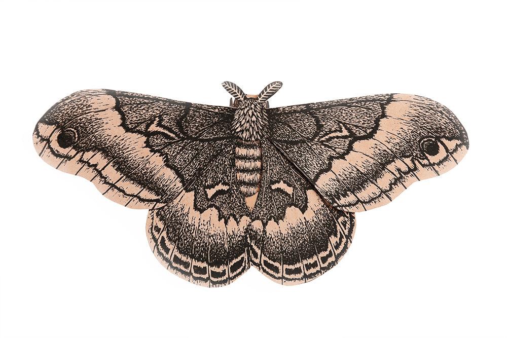 Moth Paper Sculpture- A DIY Kit