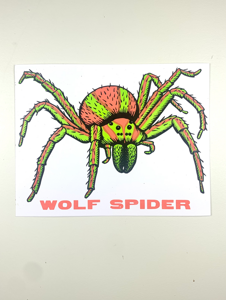 Wolf Spider Print